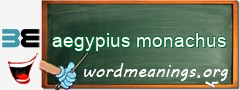 WordMeaning blackboard for aegypius monachus
